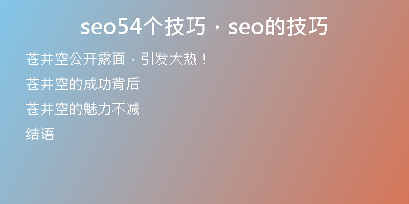 seo54個(gè)技巧，seo的技巧
