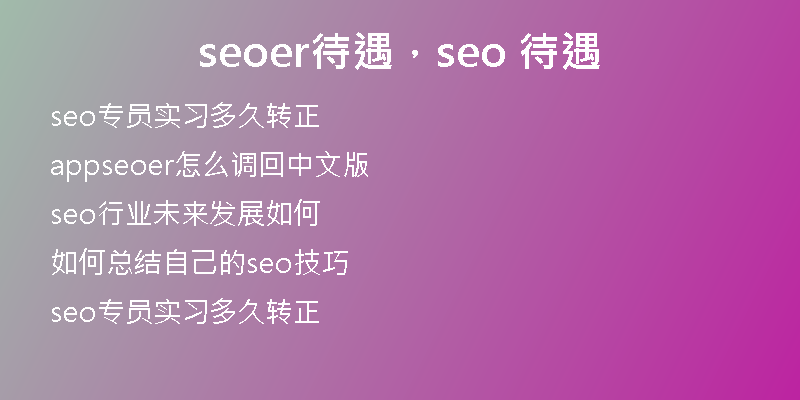 seoer待遇，seo 待遇