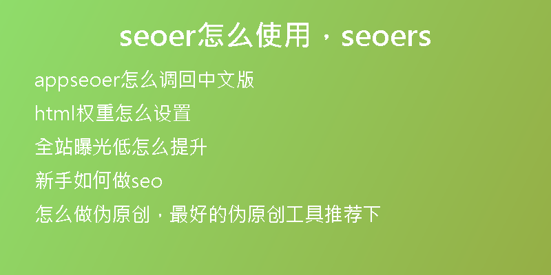 seoer怎么使用,seoers
