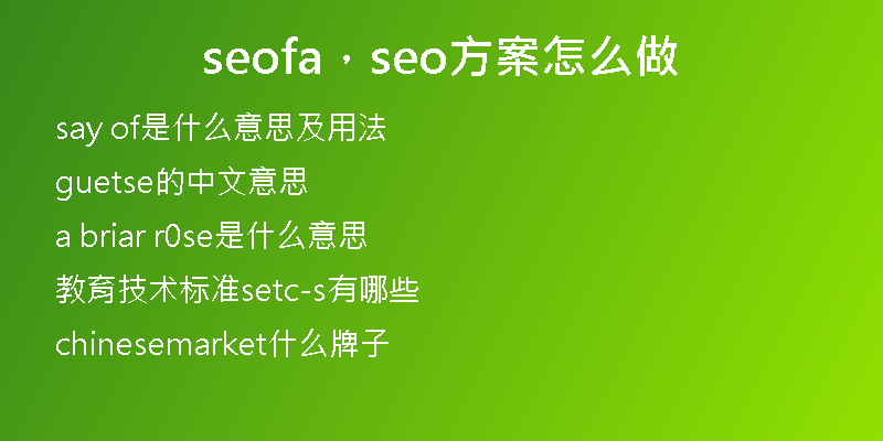 seofa，seo方案怎么做
