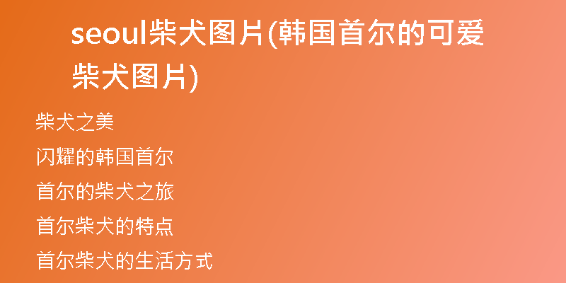 seoul柴犬圖片(韓國首爾的可愛柴犬圖片)