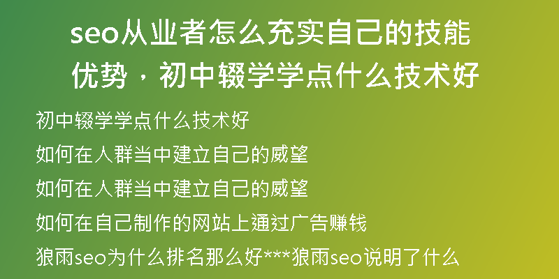 seo從業(yè)者怎么充實自己的技能優(yōu)勢，初中輟學學點什么技術好