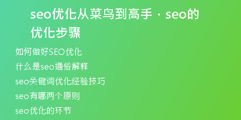 seo優(yōu)化從菜鳥(niǎo)到高手，seo的優(yōu)化步驟