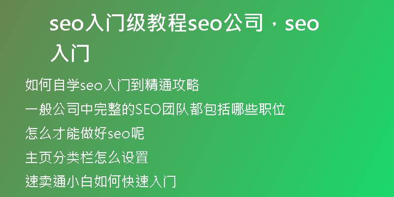 seo入門(mén)級(jí)教程seo公司，seo 入門(mén)