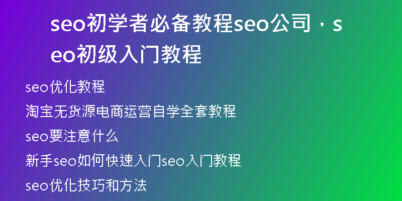 seo初學(xué)者必備教程seo公司，seo初級(jí)入門(mén)教程