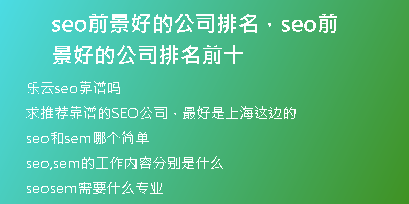 seo前景好的公司排名，seo前景好的公司排名前十