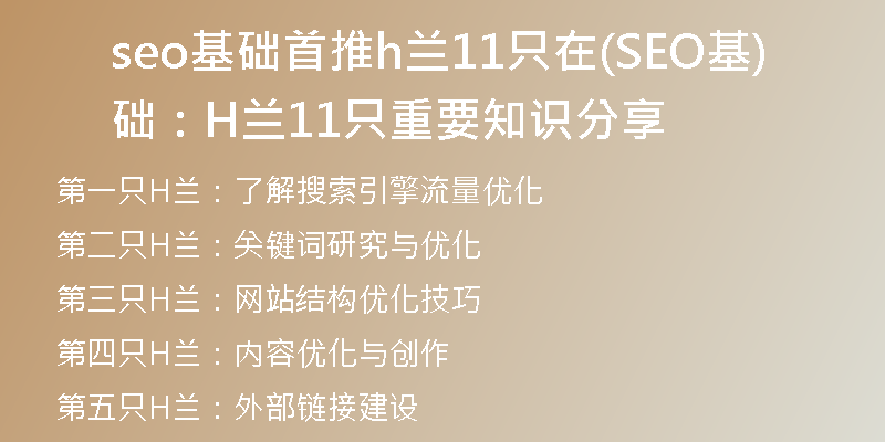 seo基礎(chǔ)首推h蘭11只在(SEO基礎(chǔ)：H蘭11只重要知識分享)
