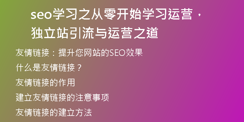 seo學(xué)習(xí)之從零開始學(xué)習(xí)運(yùn)營，獨(dú)立站引流與運(yùn)營之道