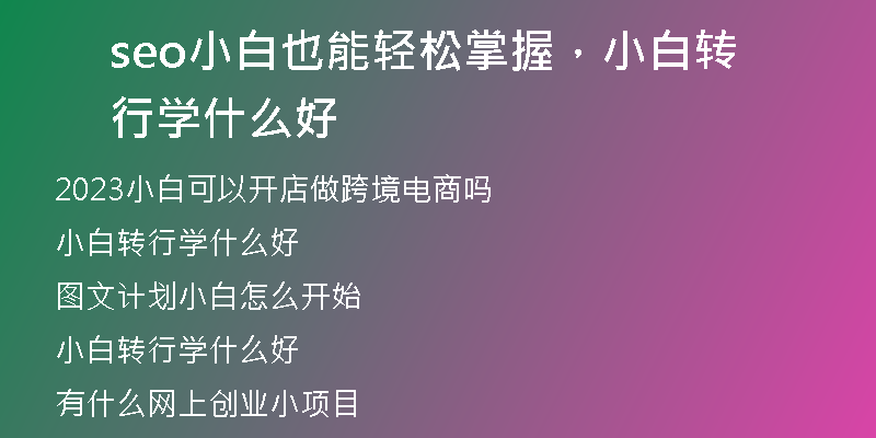 seo小白也能輕松掌握，小白轉(zhuǎn)行學(xué)什么好