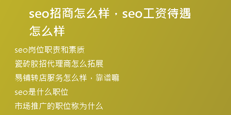 seo招商怎么樣，seo工資待遇怎么樣