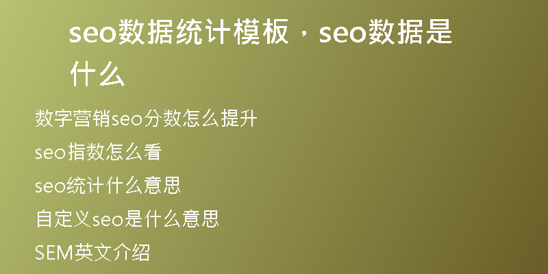 seo數(shù)據(jù)統(tǒng)計(jì)模板，seo數(shù)據(jù)是什么