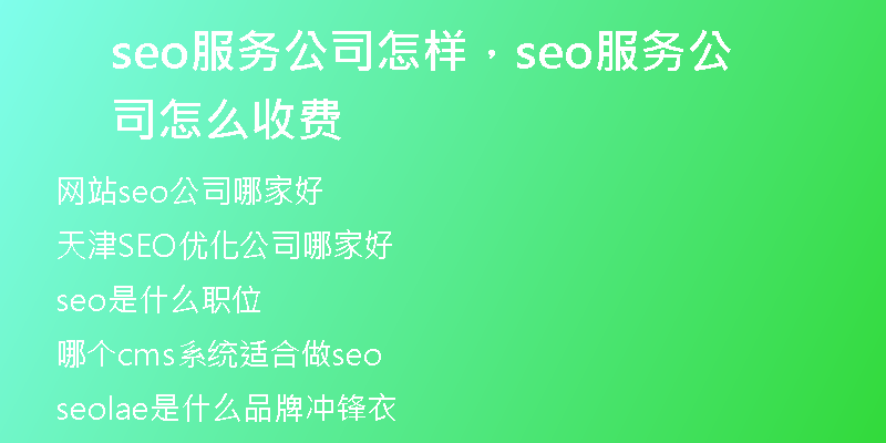 seo服務(wù)公司怎樣，seo服務(wù)公司怎么收費(fèi)