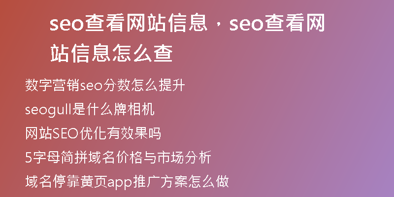 seo查看網(wǎng)站信息，seo查看網(wǎng)站信息怎么查