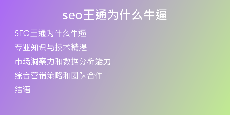 seo王通為什么牛逼