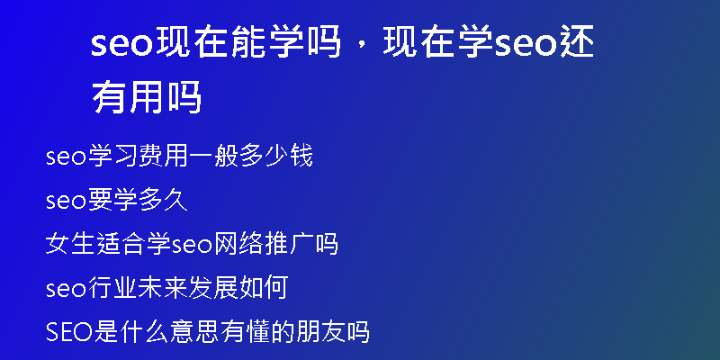 seo現(xiàn)在能學(xué)嗎，現(xiàn)在學(xué)seo還有用嗎