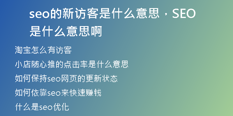 seo的新訪客是什么意思，SEO是什么意思啊