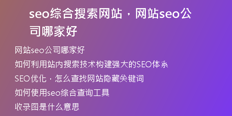 seo綜合搜索網(wǎng)站，網(wǎng)站seo公司哪家好