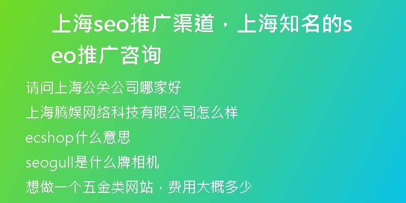 上海seo推廣渠道，上海知名的seo推廣咨詢