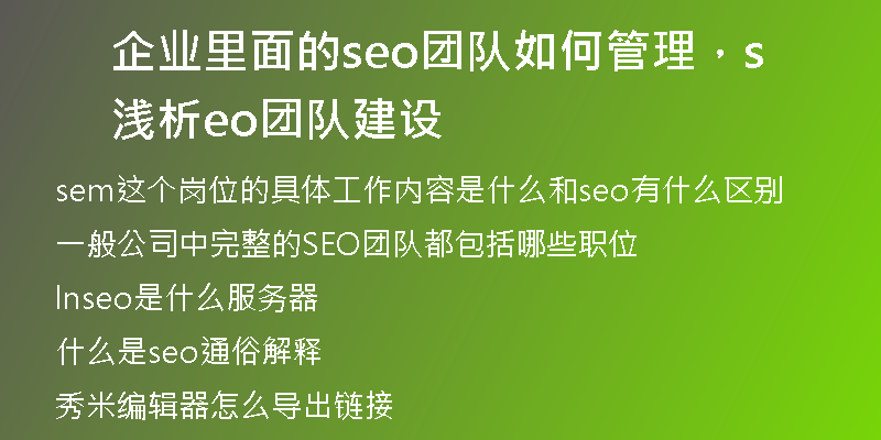 企業(yè)里面的seo團(tuán)隊(duì)如何管理，淺析seo團(tuán)隊(duì)建設(shè)